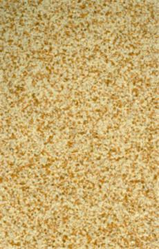 福州廈門(mén)市巖片漆圖片