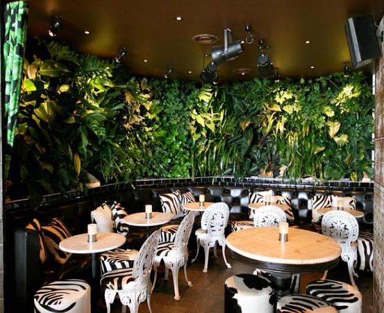 選擇杭州植物墻的三個(gè)理由圖片