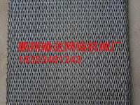 供應(yīng)山東省規(guī)模*的不銹鋼網(wǎng)帶報(bào)價(jià)-不繡剛網(wǎng)帶網(wǎng)鏈廠家不繡鋼網(wǎng)帶