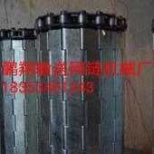 山東寧津鏈板不銹鋼鏈板供貨商圖片