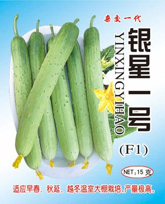 銀星一號F1黃瓜種子旱黃瓜種子圖片