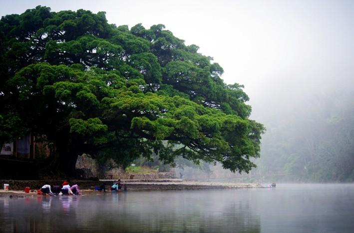 泉州土楼、泉州到南靖土楼旅游住宿、泉州到南靖云水谣古镇旅游图片