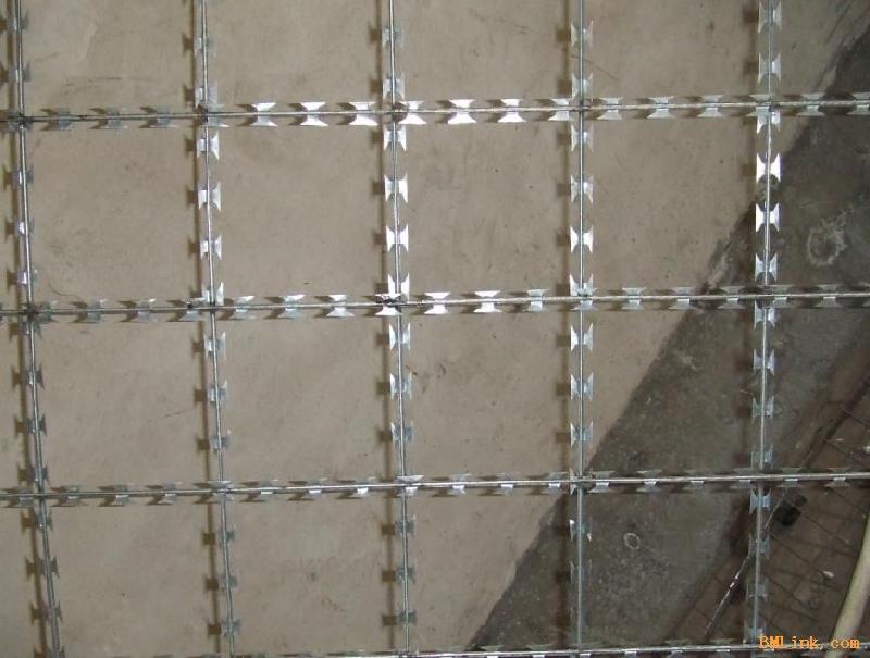 不銹鋼*刺網(wǎng)*刺繩生產(chǎn)廠家