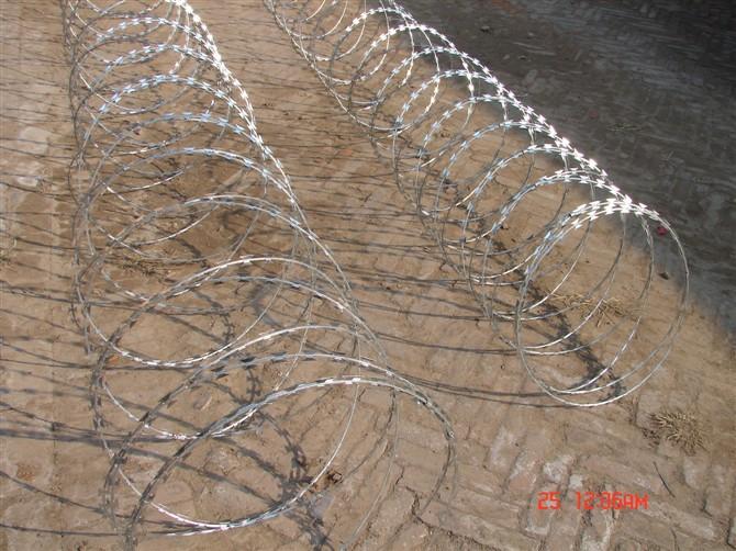 不銹鋼*刺網(wǎng)*刺繩生產(chǎn)廠家