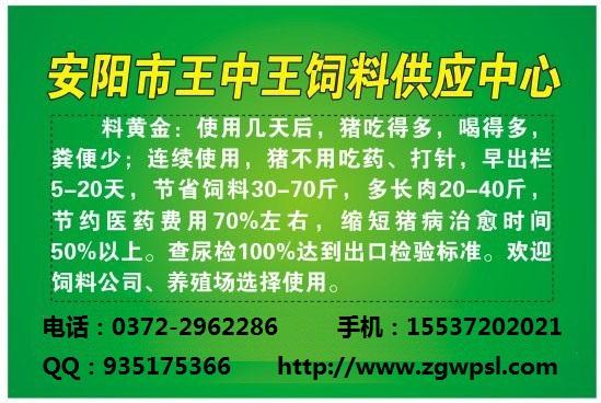 山东料黄金饲料营养粉图片