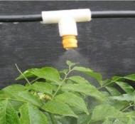 供應(yīng)南昌消毒噴嘴、1分塑料加濕噴頭