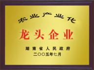 供應(yīng)長(zhǎng)沙醬板鴨加盟哪種醬板鴨*吃