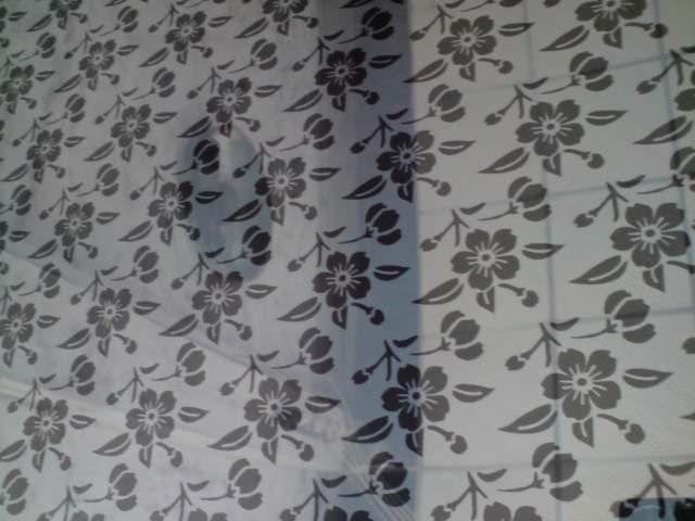 供應(yīng)不銹鋼花紋板