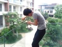 玻璃貼膜圖片/玻璃貼膜樣板圖 (2)