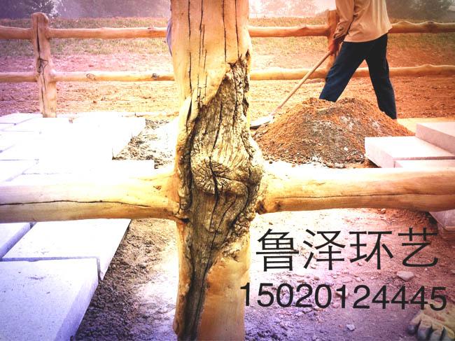 供應聊城仿真樹