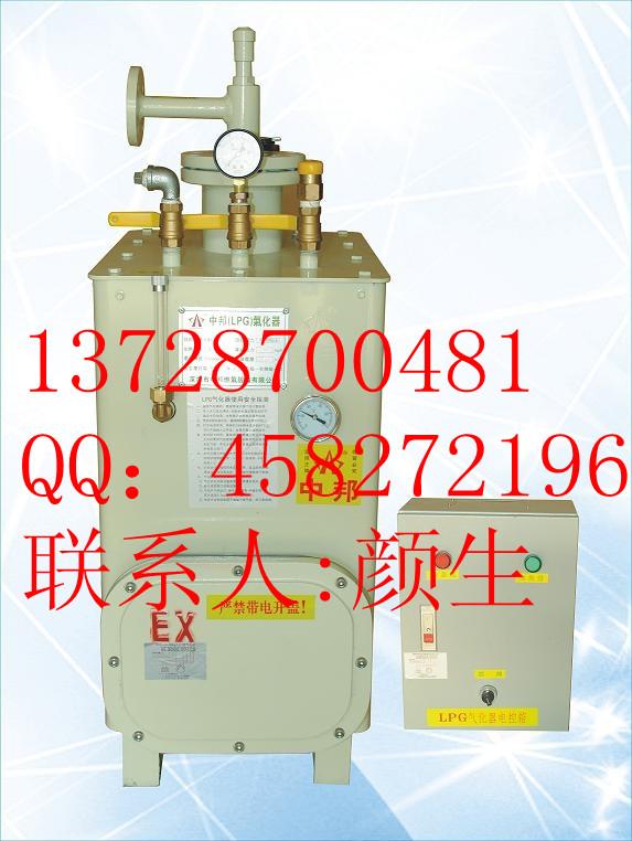 供应中邦CPEx50kg/h液化气瓦斯气化炉