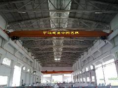 供應(yīng)LDE雙葫蘆單梁起重機(jī)
