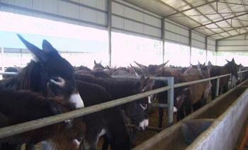 因素圖片/因素樣板圖 (4)