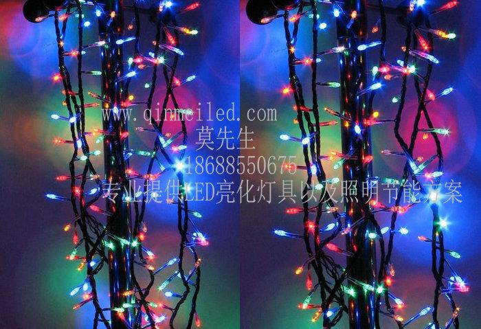 供應(yīng)各種顏色LED圣誕燈
