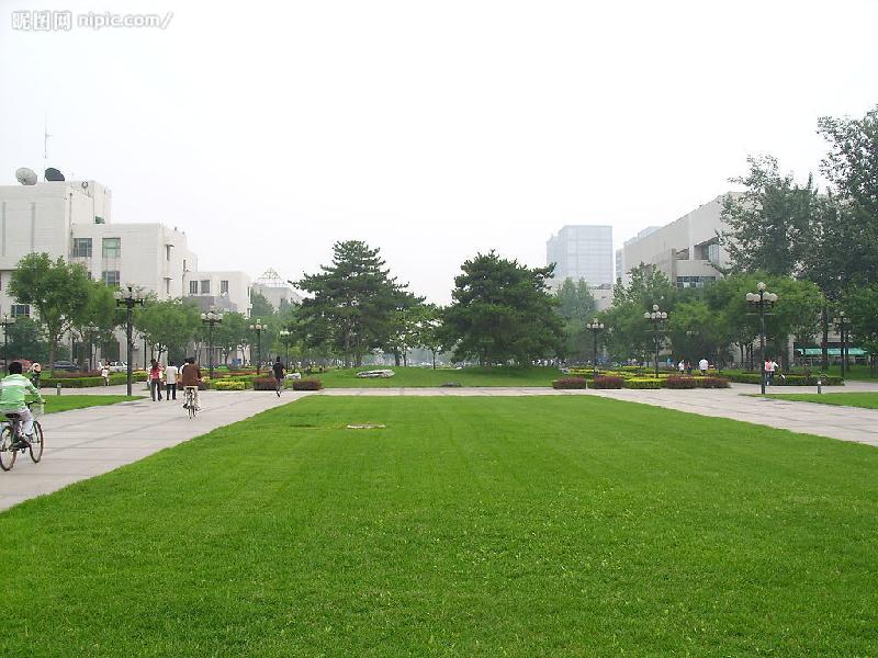 供應(yīng)河北石家莊高爾夫人造草鋪設(shè)高爾夫球場建設(shè)進口材料耐磨防滑