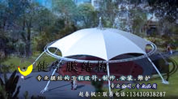 供應(yīng)用于遮陽(yáng)的公園休閑景觀遮陽(yáng)膜結(jié)構(gòu)