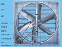 供应DWT-II型玻璃钢离心式屋顶通风机