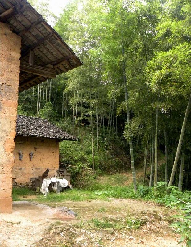 供應(yīng)重慶一次性竹筷廠價(jià)批發(fā)