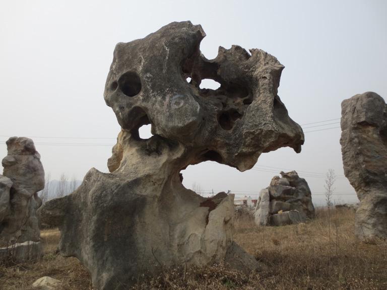 風(fēng)景石太湖石圖片/風(fēng)景石太湖石樣板圖 (3)