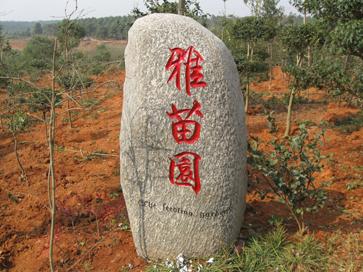 供應(yīng)武漢景觀石，湖北法雅園林基地用景觀石