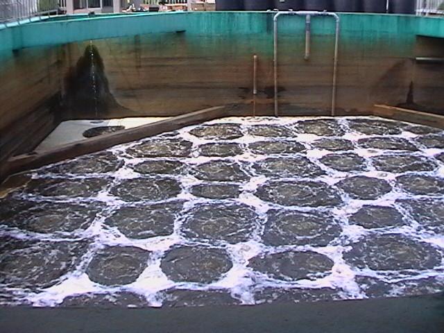 供應(yīng)造紙廠污水處理工程