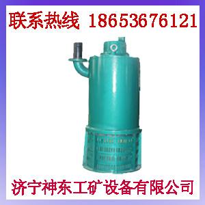 BQS100潛水電泵圖片