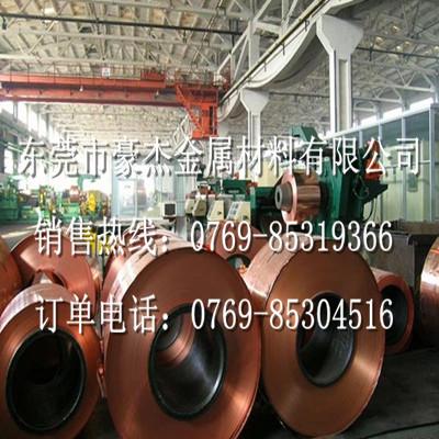 C2100銅合金圖片/C2100銅合金樣板圖 (3)