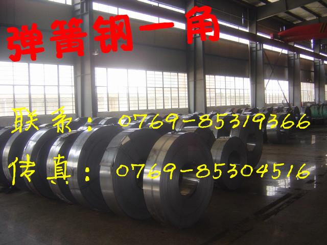 高質(zhì)量彈簧鋼圖片/高質(zhì)量彈簧鋼樣板圖 (3)