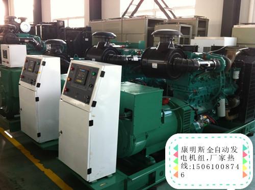 康明斯發(fā)電機組圖片/康明斯發(fā)電機組樣板圖 (3)
