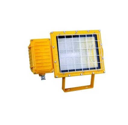 BFC8110防爆泛光燈圖片