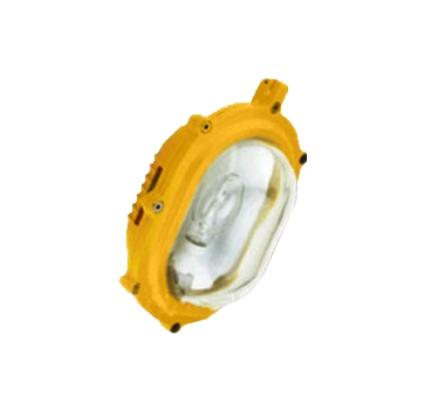 供應TGF753防爆泛光燈