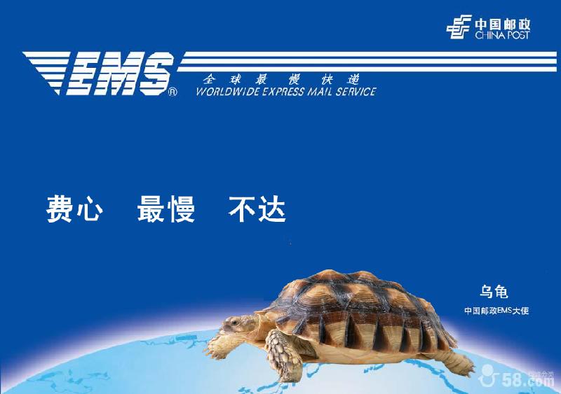 供應(yīng)*理金華義烏液體粉末膠水*出口快遞電話