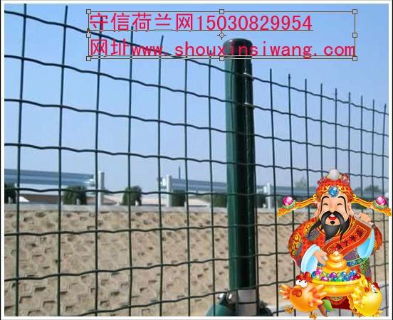 守信外墻保溫電焊網(wǎng)，外墻保溫電焊網(wǎng)價(jià)格，黃驊外墻保溫電焊網(wǎng)廠