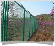 美格網護欄網，黃驊美格網護欄廠，滄州美格網規(guī)格