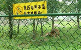 滄州勾花護(hù)欄網(wǎng)，勾花護(hù)欄網(wǎng)的用途，黃驊勾花網(wǎng)銷售處