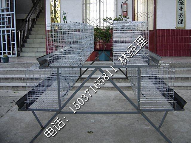 供應(yīng)飲水設(shè)備 河南金鳳雞舍*飲水設(shè)備