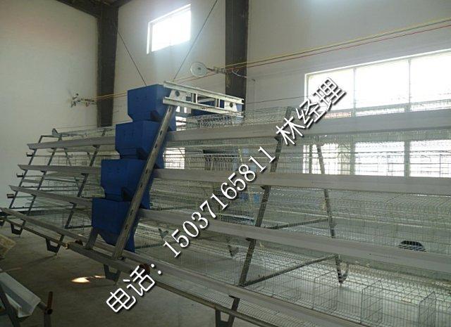 供應(yīng)階梯式蛋雞籠