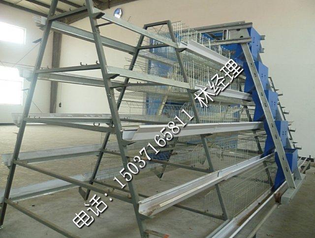 9LPT-5320-31全自動化階梯式蛋雞籠圖片