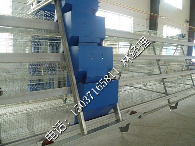 供應(yīng)階梯式蛋雞籠