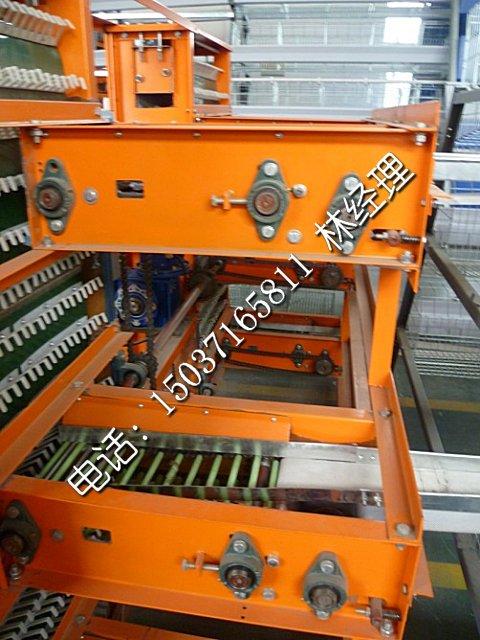 供應(yīng)自動化集蛋系統(tǒng) 河南金鳳自動化集蛋系統(tǒng)銷售