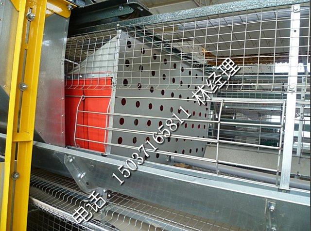 供應雞籠揀蛋機