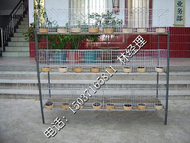 供應(yīng)飲水設(shè)備 河南金鳳雞舍*飲水設(shè)備