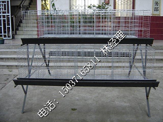 河南金鳳牧業(yè)雞籠養(yǎng)殖設(shè)備飲水系統(tǒng)圖片