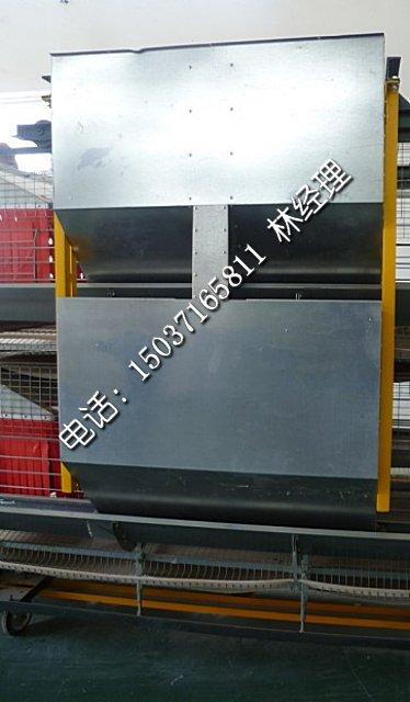 河南金鳳牧業(yè)蛋雞籠圖片