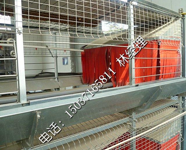 供應(yīng)層疊式籠養(yǎng)設(shè)備 河南金鳳層疊式四層蛋雞自動(dòng)化籠養(yǎng)