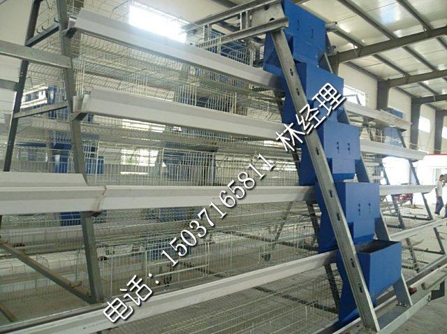 9LDT-4150-21全自動化階梯式蛋雞籠圖片