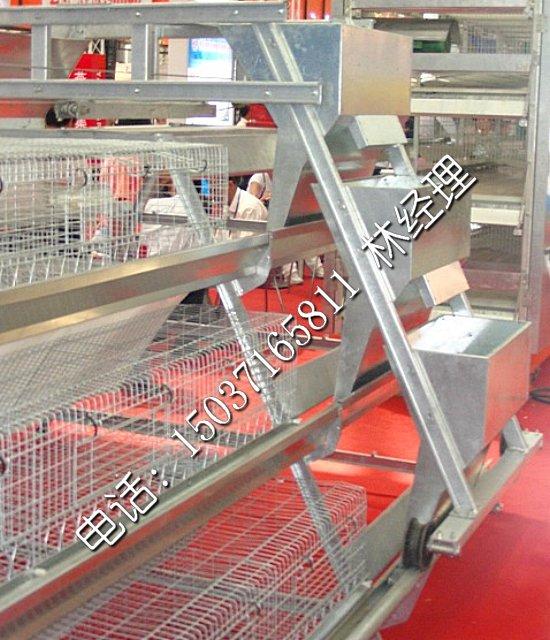 河南金鳳牧業(yè)自動化上料機圖片