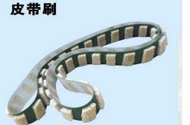 清掃器皮帶刷毛刷耐磨鋼絲皮帶刷圖片