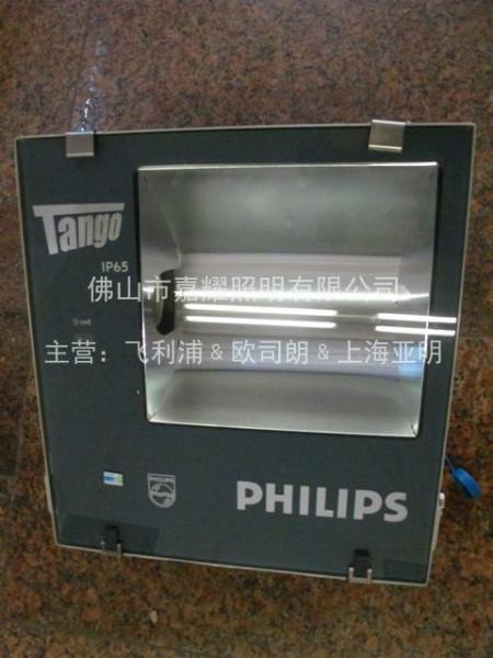 飛利浦泛光燈具圖片