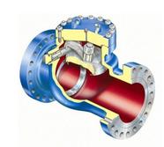 美国管线止回阀图片